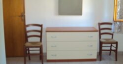 48A – LA MAZZANTA, BILOCALE 4 POSTI FRONTE PINETA