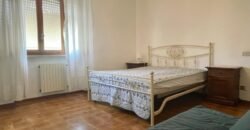 44A – 2/15 AGOSTO – VADA,  5/6 POSTI LETTO CON POSTO AUTO.