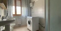 44A – 2/15 AGOSTO – VADA,  5/6 POSTI LETTO CON POSTO AUTO.