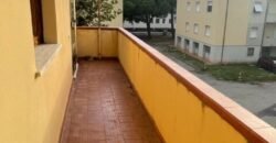 44A – 2/15 AGOSTO – VADA,  5/6 POSTI LETTO CON POSTO AUTO.