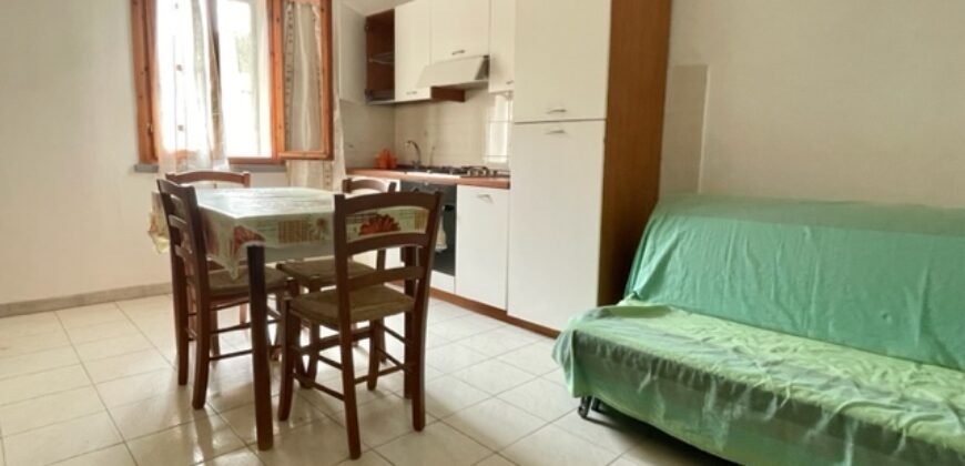 48A – LA MAZZANTA, BILOCALE 4 POSTI FRONTE PINETA