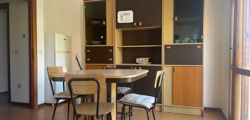 106A – MAGGIO E GIUGNO – Vada, 8 posti a 250 m dal mare