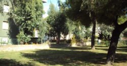 118A – GIUGNO e LUGLIO  – VADA, BILOCALE 4 POSTI