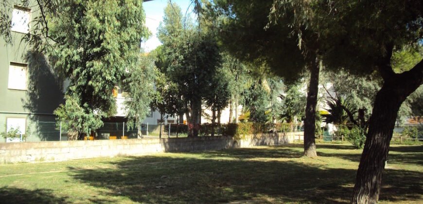 118A – GIUGNO e LUGLIO  – VADA, BILOCALE 4 POSTI