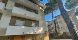 39V – VADA, BILOCALE A 300 M DAL MARE