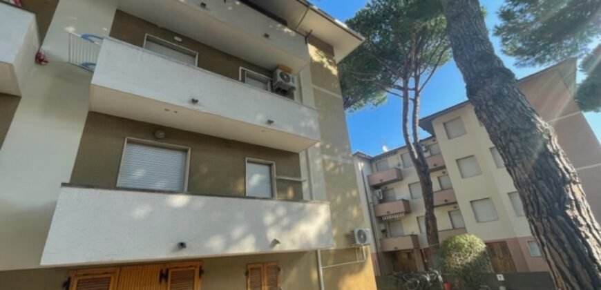 39V – VADA, BILOCALE A 300 M DAL MARE