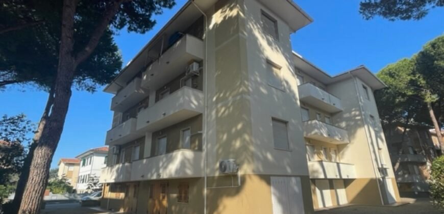 39V – VADA, BILOCALE A 300 M DAL MARE