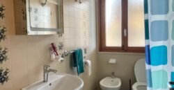 39V – VADA, BILOCALE A 300 M DAL MARE