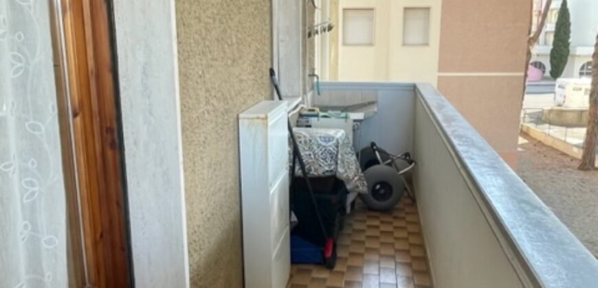 39V – VADA, BILOCALE A 300 M DAL MARE