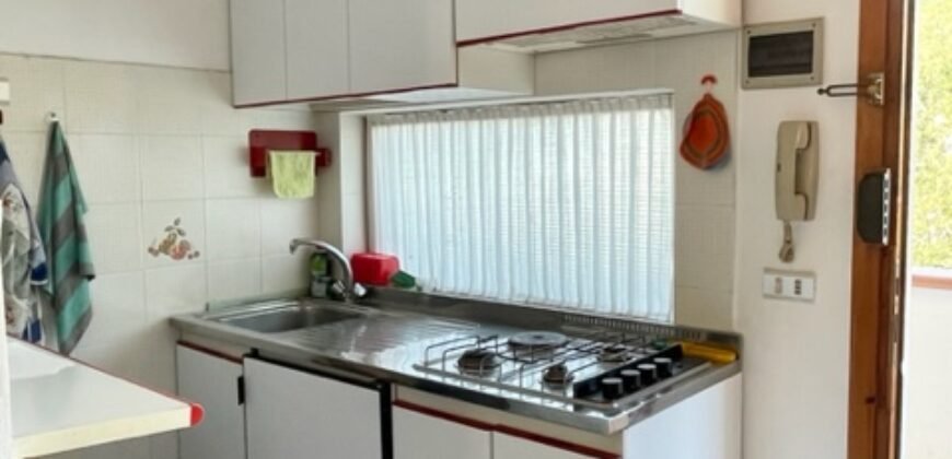 41V – VADA, TRILOCALE CON CANTINA