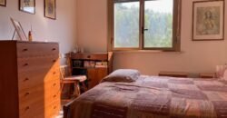 41V – VADA, TRILOCALE CON CANTINA