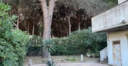 7V – LA MAZZANTA, TRILOCALI IN POSIZIONE ESCLUSIVA