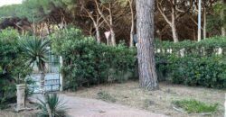 7V – LA MAZZANTA, TRILOCALI IN POSIZIONE ESCLUSIVA
