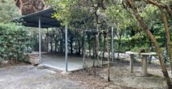 7V – LA MAZZANTA, TRILOCALI IN POSIZIONE ESCLUSIVA