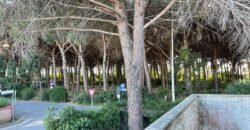 7V – LA MAZZANTA, TRILOCALI IN POSIZIONE ESCLUSIVA