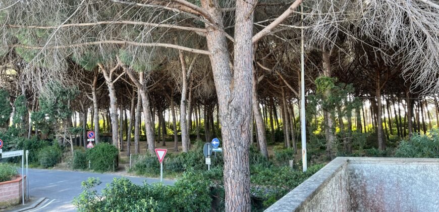 7V – LA MAZZANTA, TRILOCALI IN POSIZIONE ESCLUSIVA