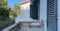 7V – LA MAZZANTA, TRILOCALI IN POSIZIONE ESCLUSIVA