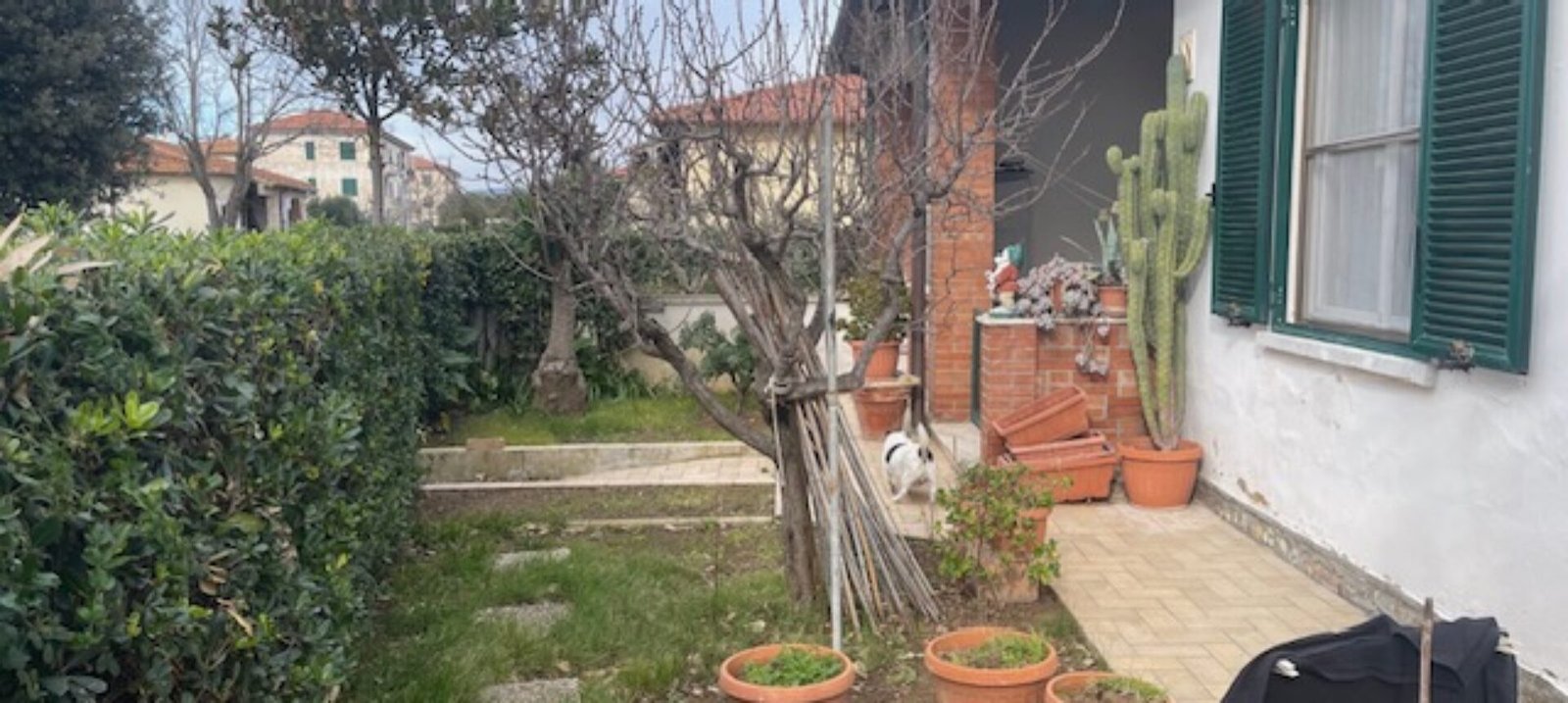 VADA – APPARTAMENTO IN BIFAMILIARE