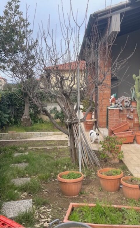 VADA – APPARTAMENTO IN BIFAMILIARE