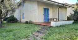 23A – AGOSTO E SETTEMBRE – VADA, 7 POSTI