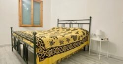 23V – VADA, APPRTAMENTO CON AMPIO GIARDINO