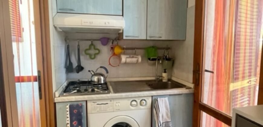 23V – VADA, APPRTAMENTO CON AMPIO GIARDINO