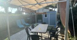 23V – VADA, APPRTAMENTO CON AMPIO GIARDINO