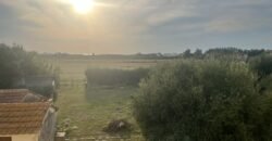 20V – VADA CAMPAGNA, AMPIO 4 VANI