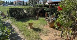 14V – VADA, APPARTAMENTO CON GARAGE/TAVERNA E GIARDINO