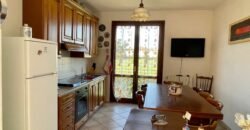 14V – VADA, APPARTAMENTO CON GARAGE/TAVERNA E GIARDINO