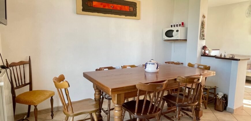14V – VADA, APPARTAMENTO CON GARAGE/TAVERNA E GIARDINO