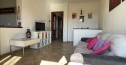 14V – VADA, APPARTAMENTO CON GARAGE/TAVERNA E GIARDINO