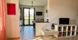 14V – VADA, APPARTAMENTO CON GARAGE/TAVERNA E GIARDINO