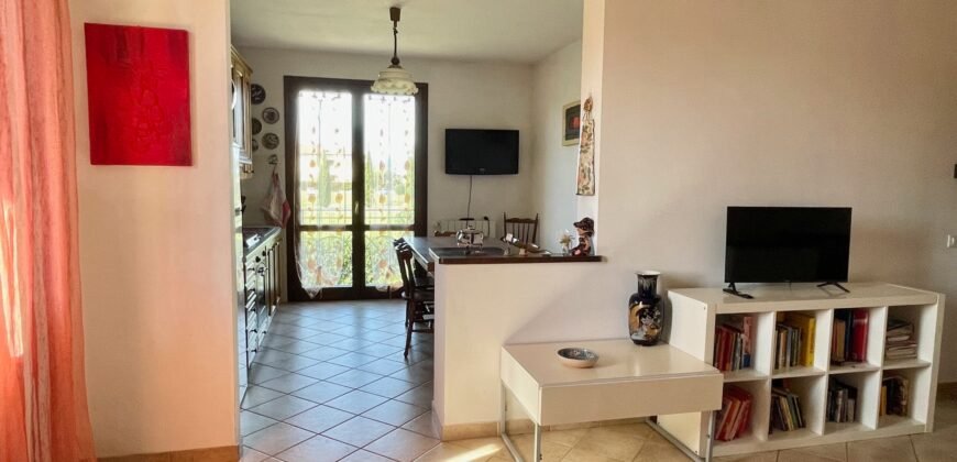 14V – VADA, APPARTAMENTO CON GARAGE/TAVERNA E GIARDINO