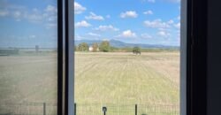 14V – VADA, APPARTAMENTO CON GARAGE/TAVERNA E GIARDINO