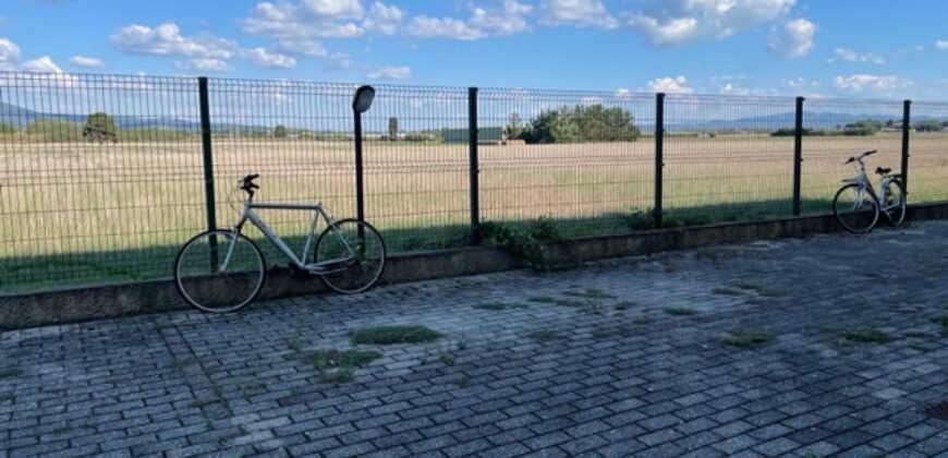 14V – VADA, APPARTAMENTO CON GARAGE/TAVERNA E GIARDINO