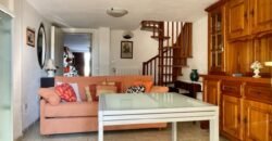 14V – VADA, APPARTAMENTO CON GARAGE/TAVERNA E GIARDINO