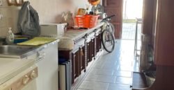 14V – VADA, APPARTAMENTO CON GARAGE/TAVERNA E GIARDINO