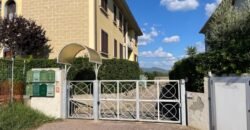 14V – VADA, APPARTAMENTO CON GARAGE/TAVERNA E GIARDINO