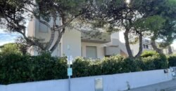 19V – VADA, APPARTAMENTO A 100M DAL MARE