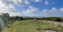 24V – POMAIA, APPARTAMENTO IN COLONICA 24V – POMAIA, APPARTAMENTO IN COLONICA