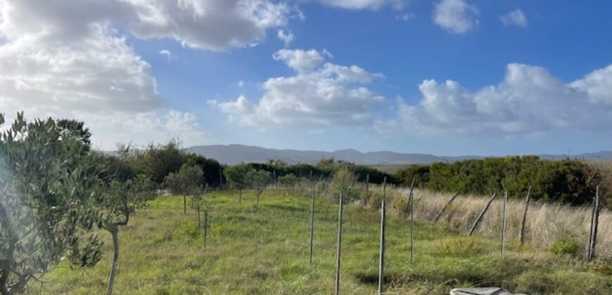 24V – POMAIA, APPARTAMENTO IN COLONICA 24V – POMAIA, APPARTAMENTO IN COLONICA