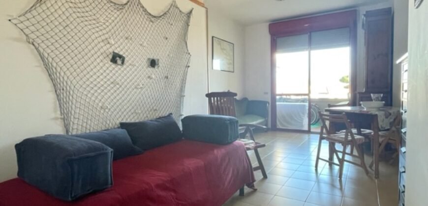 14V – VADA, MONOLOCALE CON TERRAZZA