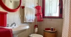 14V – VADA, MONOLOCALE CON TERRAZZA