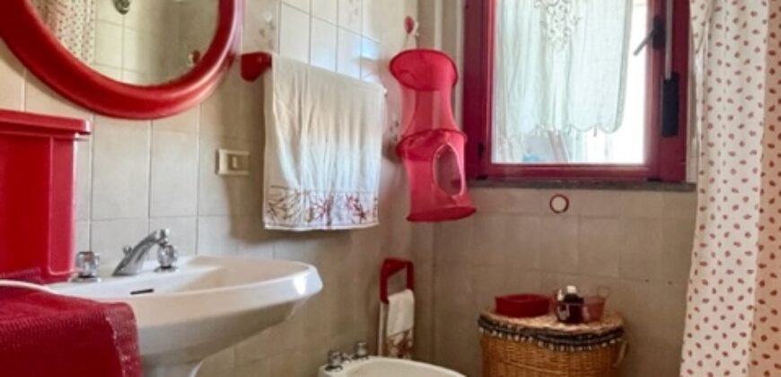 14V – VADA, MONOLOCALE CON TERRAZZA