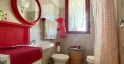 14V – VADA, MONOLOCALE CON TERRAZZA