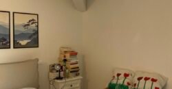 9V – VADA, TERRATETTO CON GIARDINO E POSTO AUTO