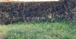 9V – VADA, TERRATETTO CON GIARDINO E POSTO AUTO