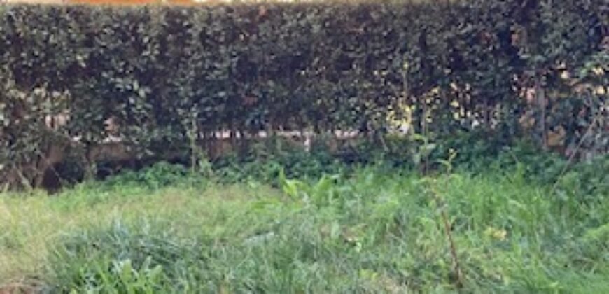 9V – VADA, TERRATETTO CON GIARDINO E POSTO AUTO