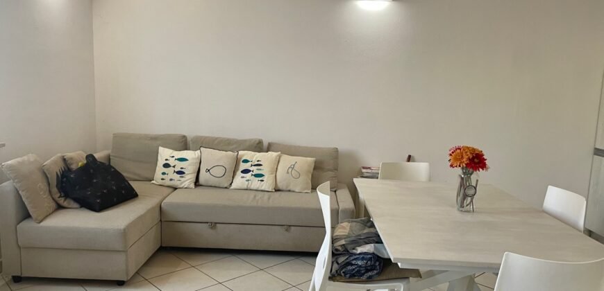 9V – VADA, TERRATETTO CON GIARDINO E POSTO AUTO